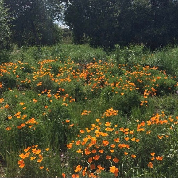 Meet your Posher, Glee - Picture 1 of 1